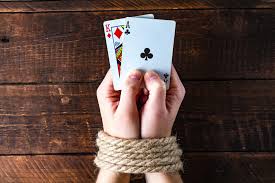 Официальный сайт AVOCADO CASINO